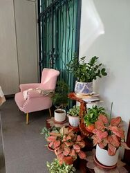 Tai Keng Villas (D19), Terrace #566153271